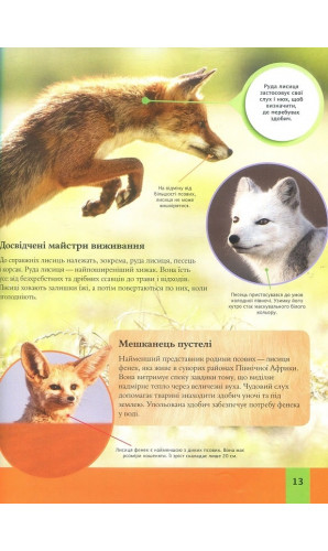 Дитяча енциклопедія тварин