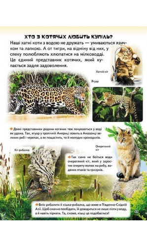 Дивовижна енциклопедія про тварин у запитаннях і відповідях