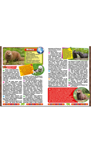 Енциклопедія про тварин. Дивовижні факти (зелена)