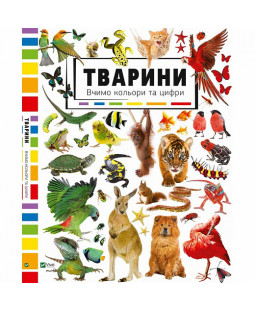 Тварини. Вчимо кольори та цифри Тварини. Вчимо кольори та цифри фото